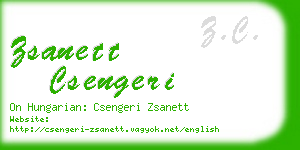 zsanett csengeri business card